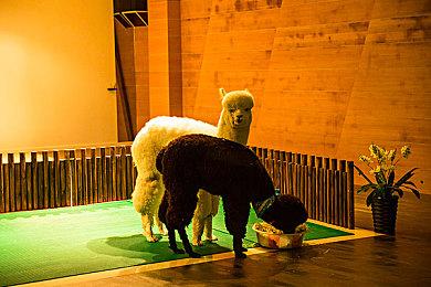 任天堂社长：当前进行主机世代更迭不够安全